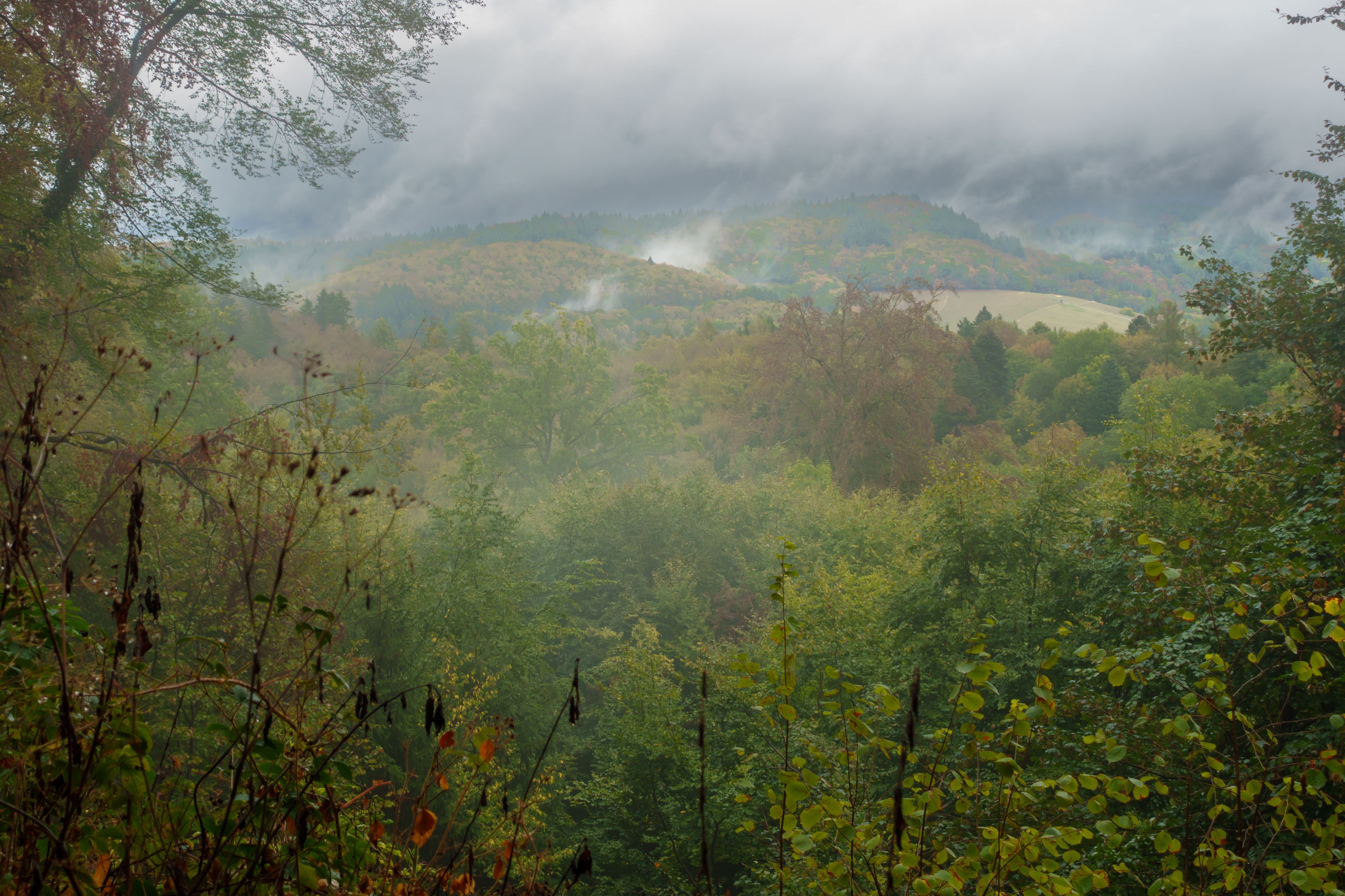 odenwald_8-10-2026.jpg